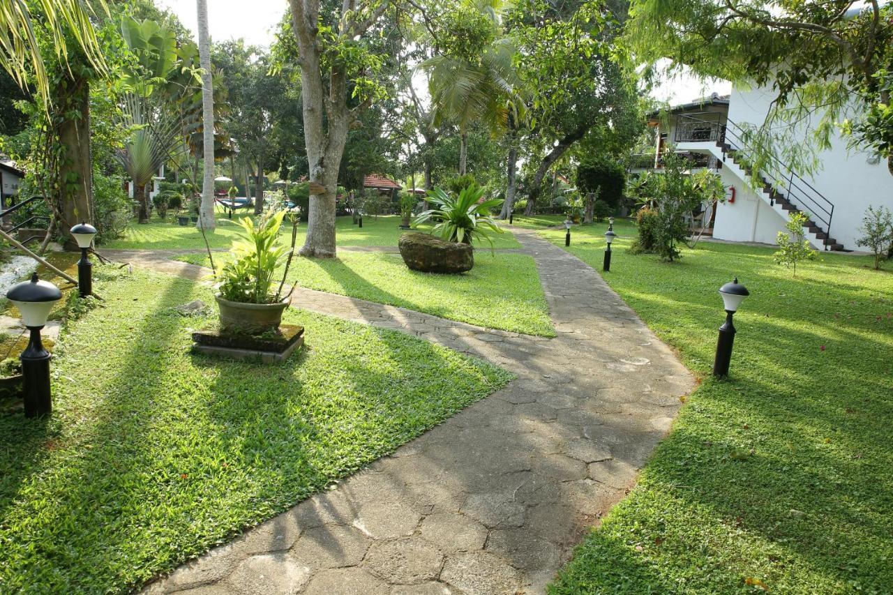 Ayurveda Centrum Lawrence Hill Paradise Hikkaduwa Esterno foto